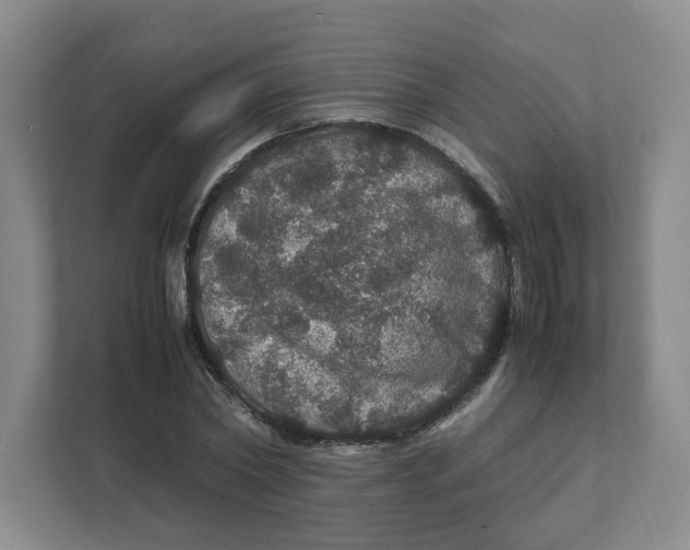 X0000111470782200908031359