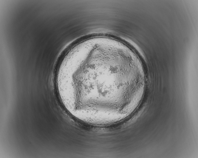 X0000111470783200908031359