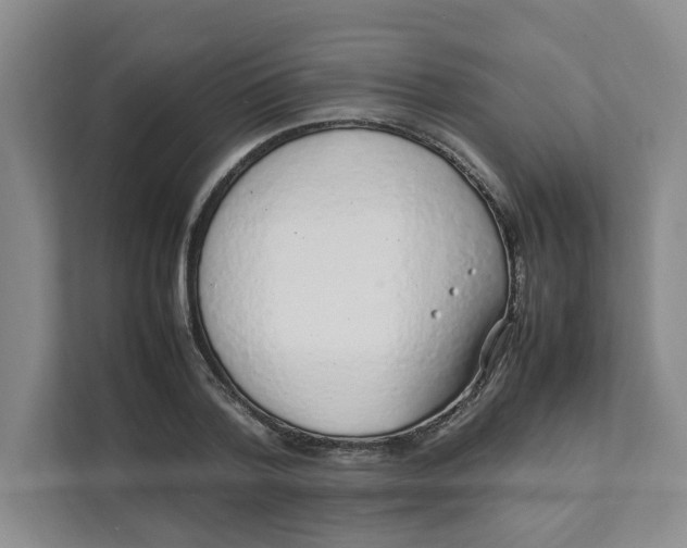 X0000111470788200908031359