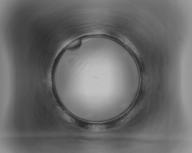 X0000111470789200908031359