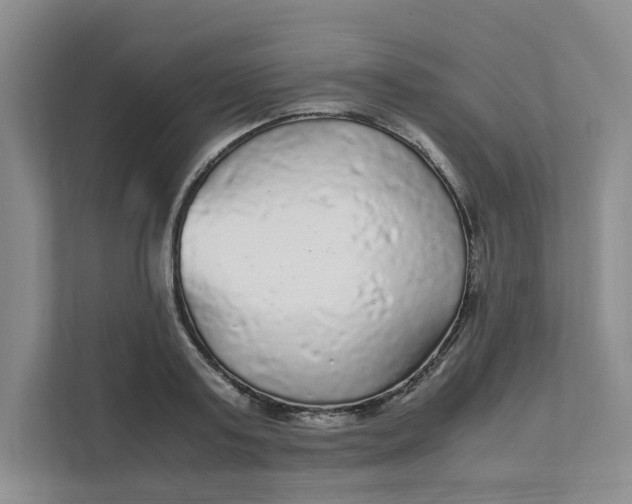 X0000111470795200908031359