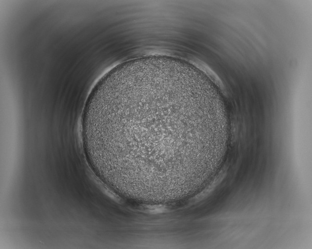 X0000111470798200908031359