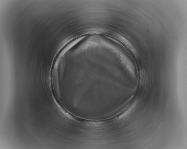 X0000111470802200908031359