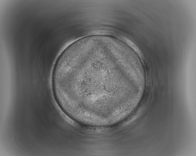 X0000111470803200908031358