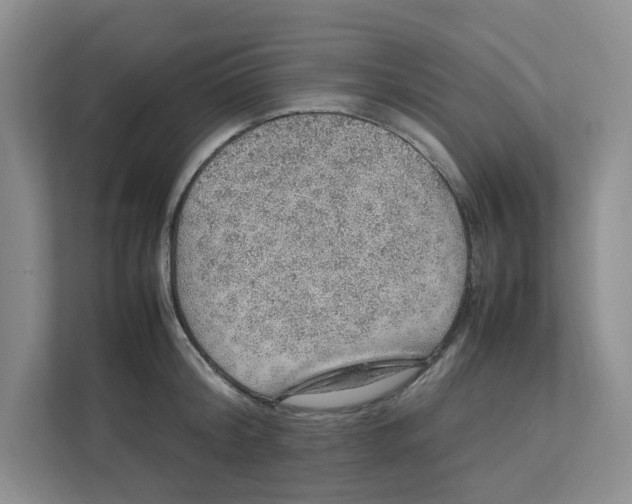 X0000111470804200908031358