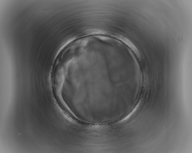 X0000111470806200908031358