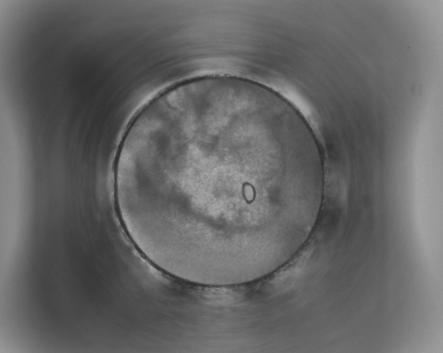 X0000111470807200908031358