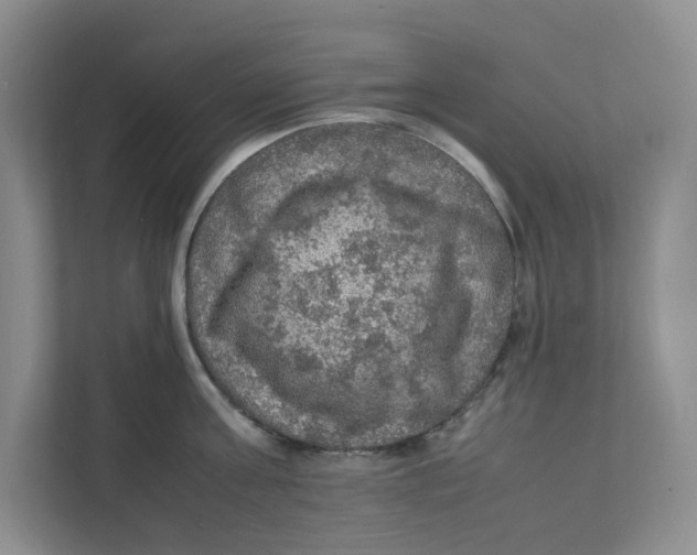 X0000111470811200908031358