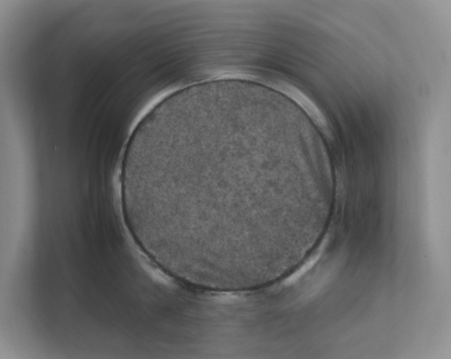 X0000111470814200908031358