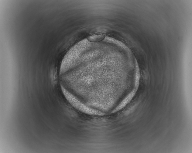 X0000111470818200908031358