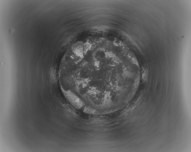 X0000111470819200908031358