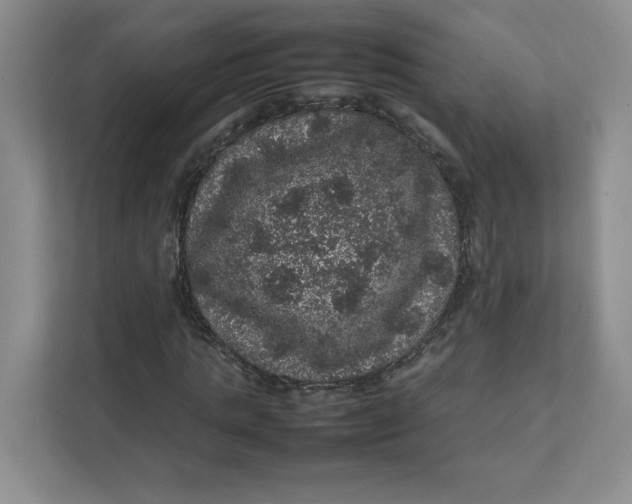 X0000111470821200908031358