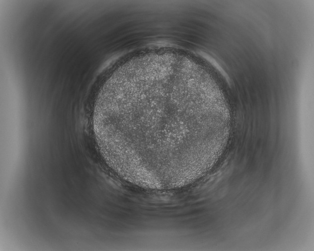 X0000111470823200908031358