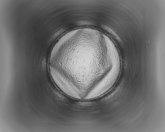 X0000111470825200908031358