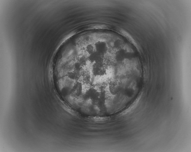 X0000111470827200908031358