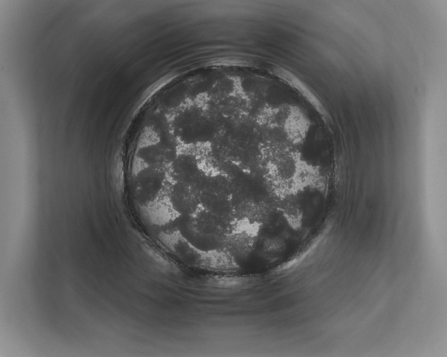 X0000111470829200908031358