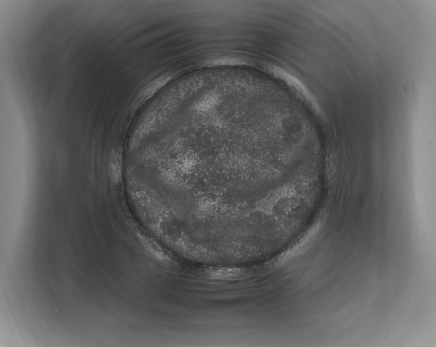 X0000111470833200908031358