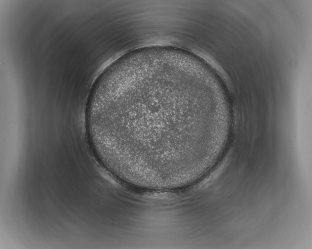 X0000111470834200908031358