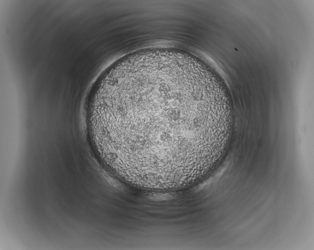 X0000111470835200908031358