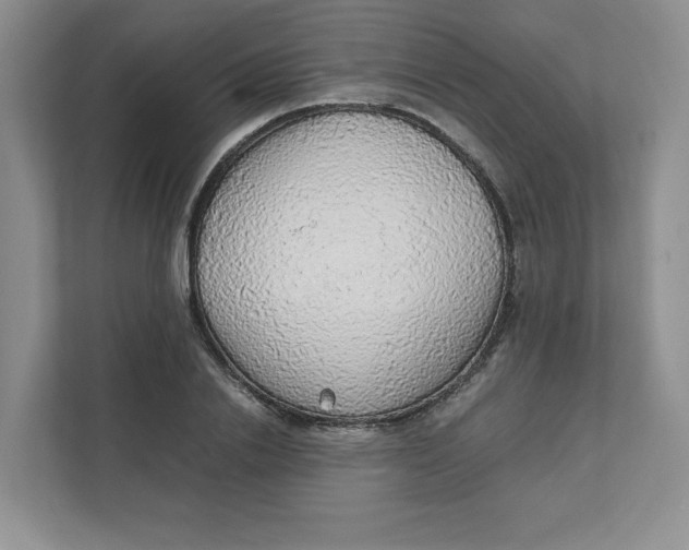 X0000111470838200908031358