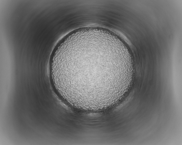 X0000111470839200908031358