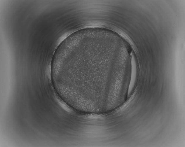 X0000111470842200908031358