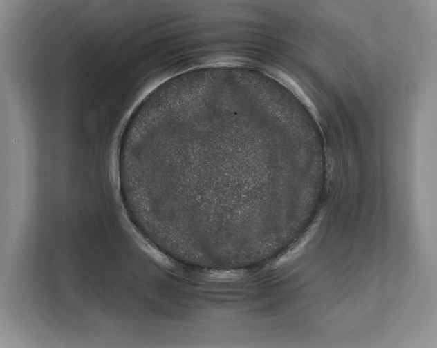 X0000111470843200908031358