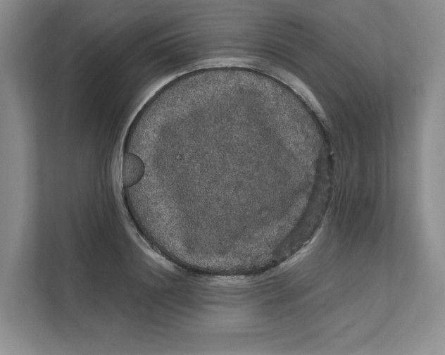 X0000111470844200908031358