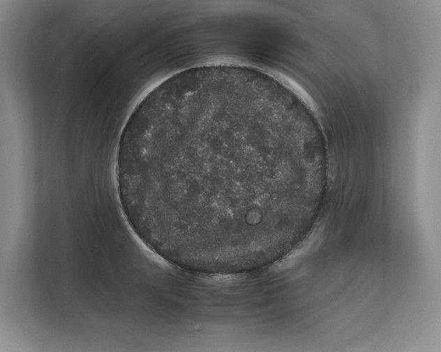 X0000111470847200908031358