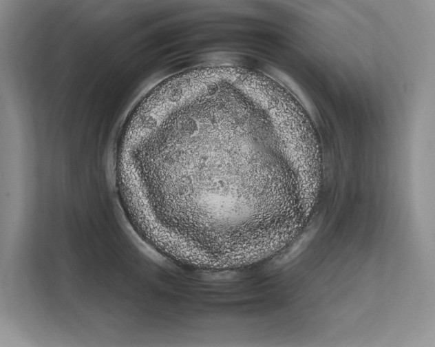 X0000111470851200908031358