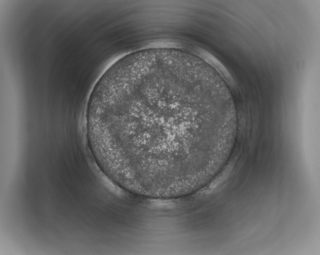 X0000111470852200908031358