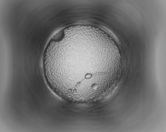 X0000111470855200908031358