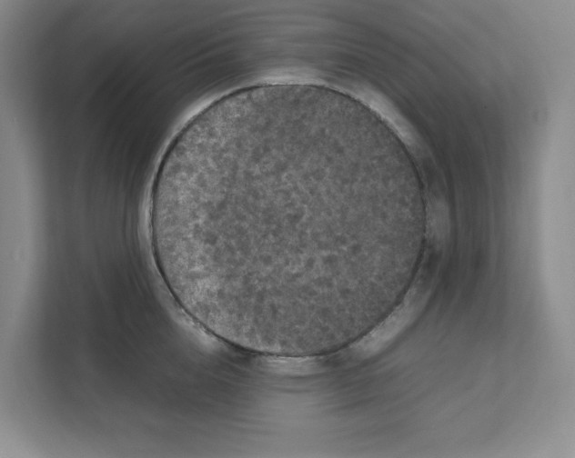 X0000111470856200908031358