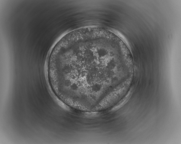 X0000111470859200908031358