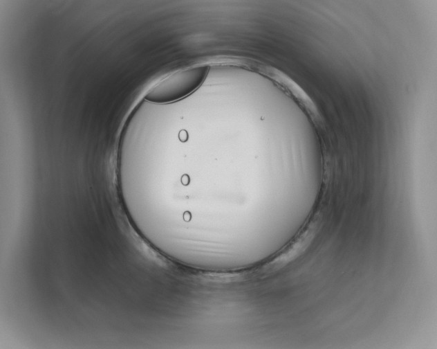 X0000111470860200908031358