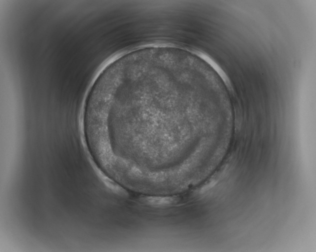 X0000111470861200908031358