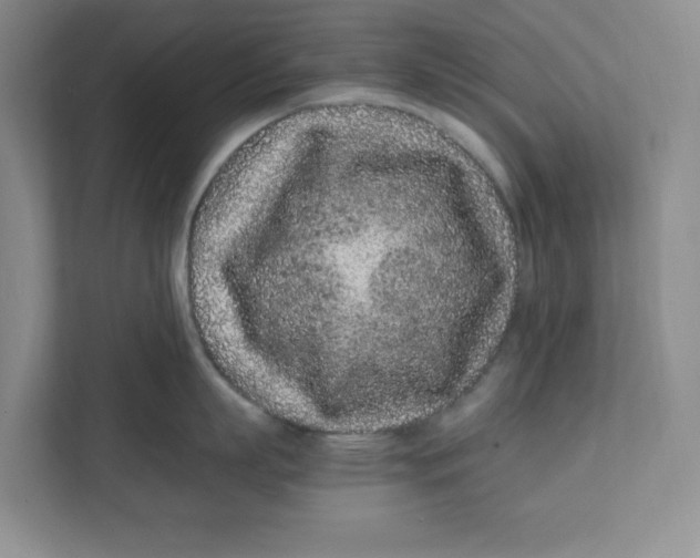 X0000111470863200908031358