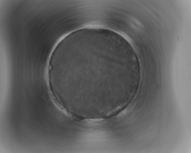 X0000111470864200908031358