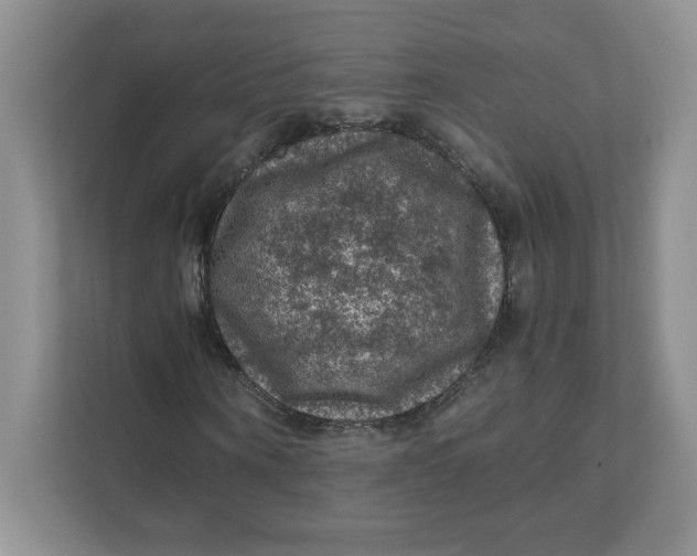 X0000111470866200908031358