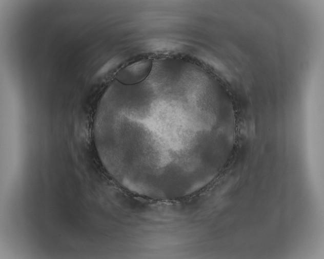 X0000111470869200908031358