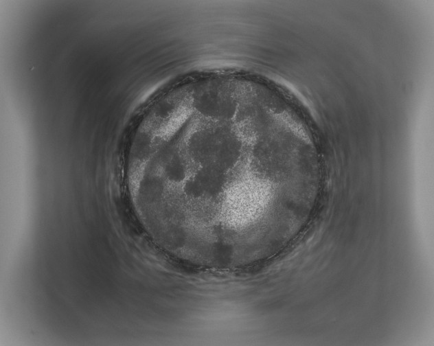 X0000111470871200908031358