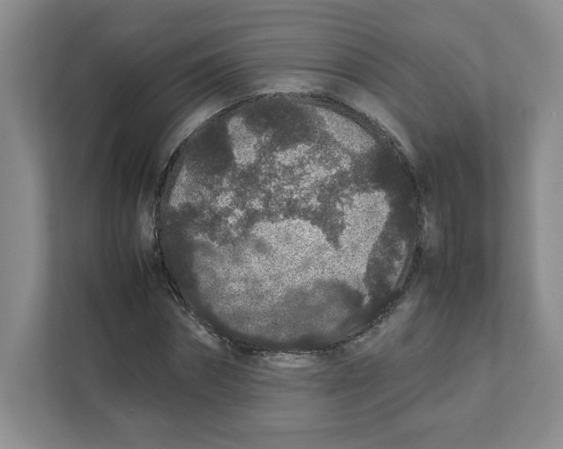 X0000111470874200908031358