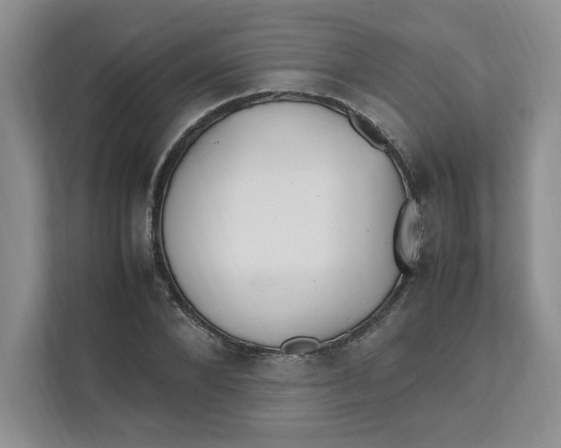 X0000111470880200908031357