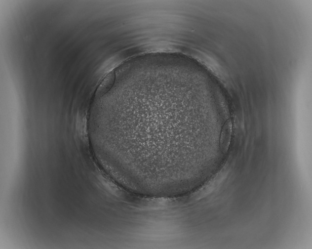 X0000111470881200908031357