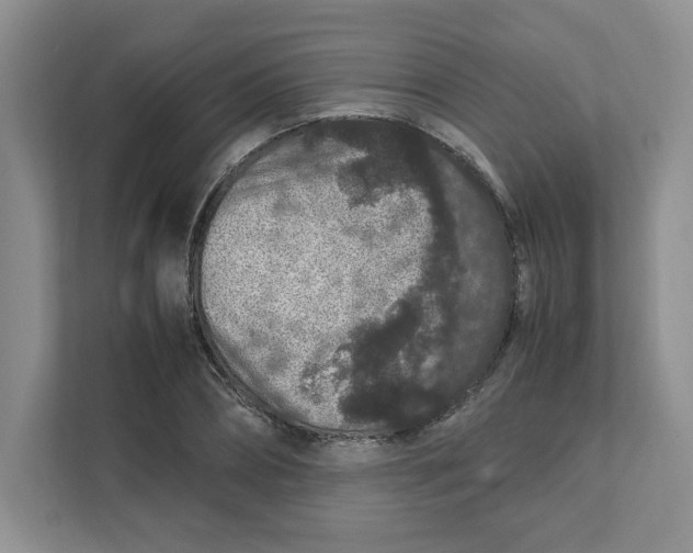 X0000111470882200908031357