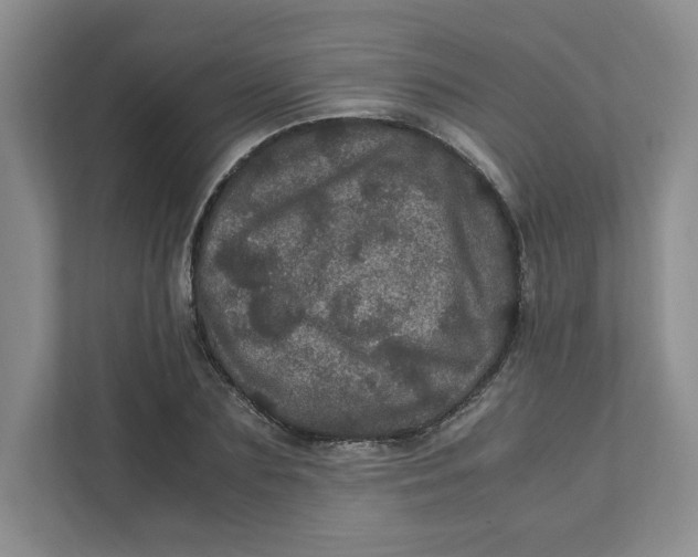 X0000111470883200908031357