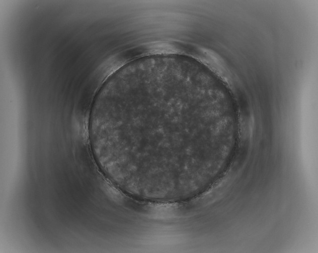 X0000111470889200908031357