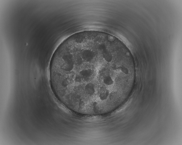 X0000111470891200908031357