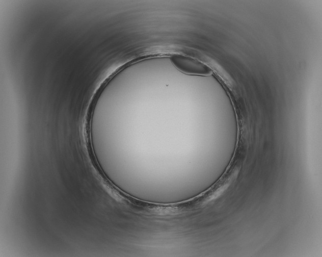 X0000111470893200908031357