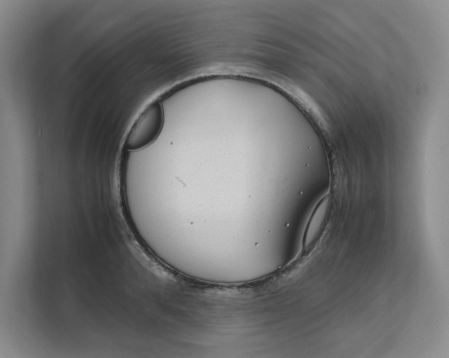 X0000111470896200908031357